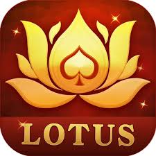 teen patti big card download